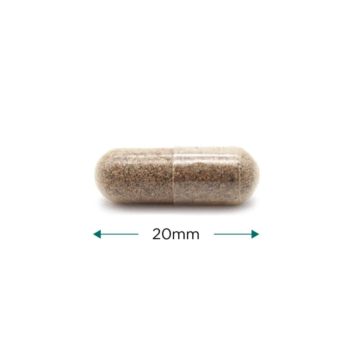 Cytoplan Organic Milk Thistle – mahe 🌿, 60 kapslit – kapsel