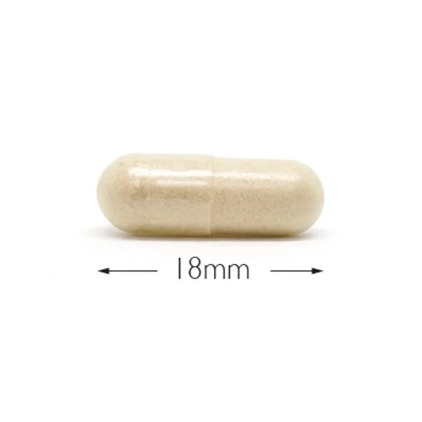 Cytoplan Pure Slippery Elm – 60 kapslit – kapsel