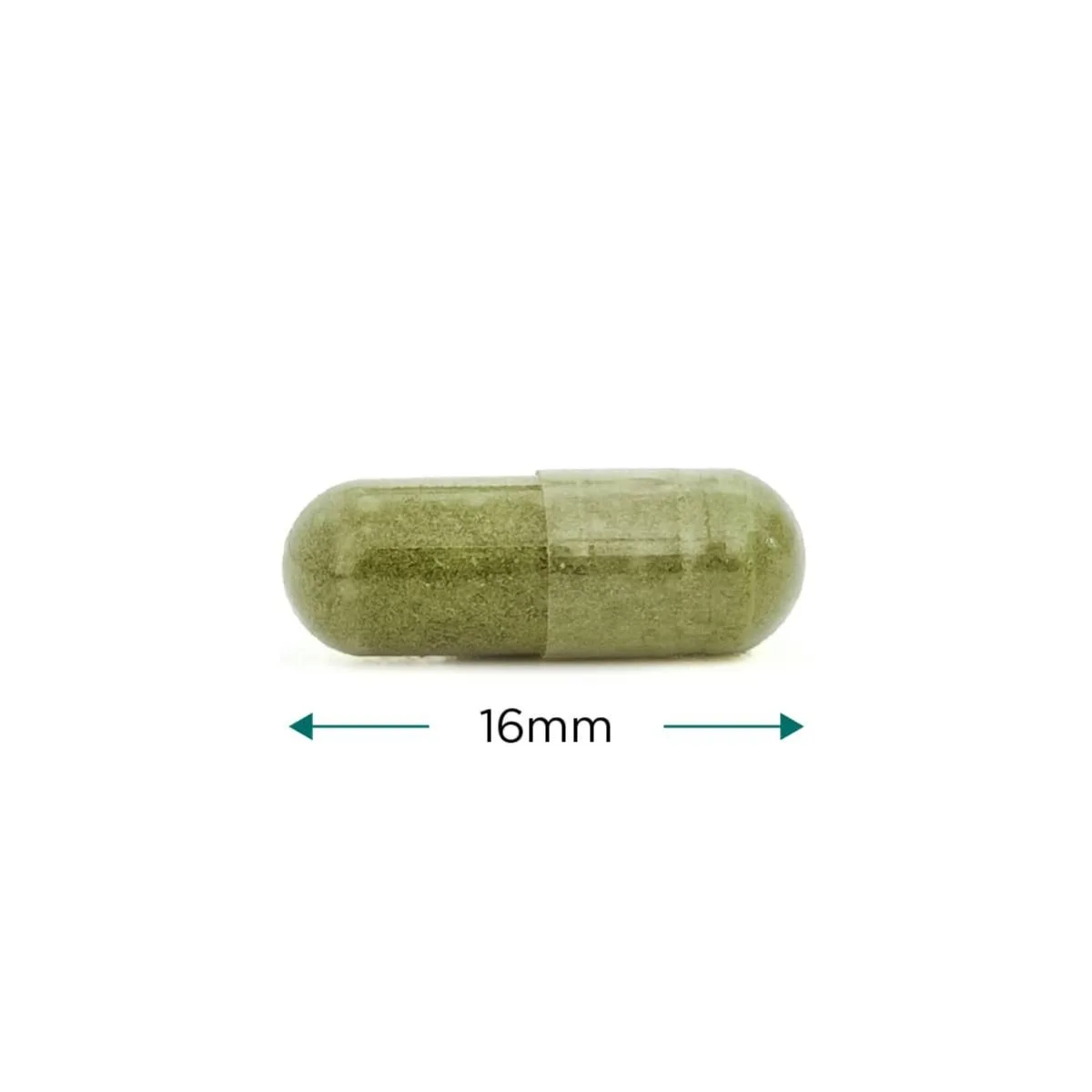 Cytoplan Wholefood Iron - kapsel