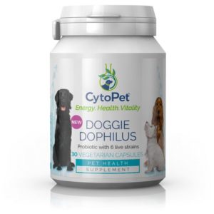 PIIMHAPPEBAKTERID KOERTELE, CytoPet Doggie Dophilus, 30 kapslit