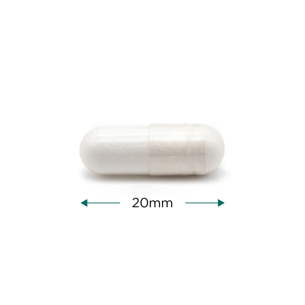 Cytoplan L-Lysine – 60 kapslit – kapsel