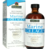 Marine-Collagen, kollageen