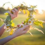 Biotheka avamise ajad suviste pühade ajal