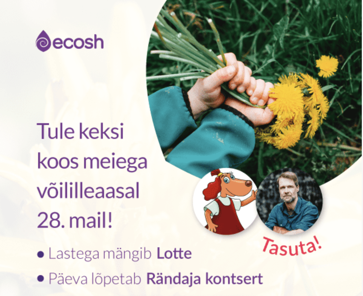 Read more about the article Ecosh’iga perepäevale võililli korjama