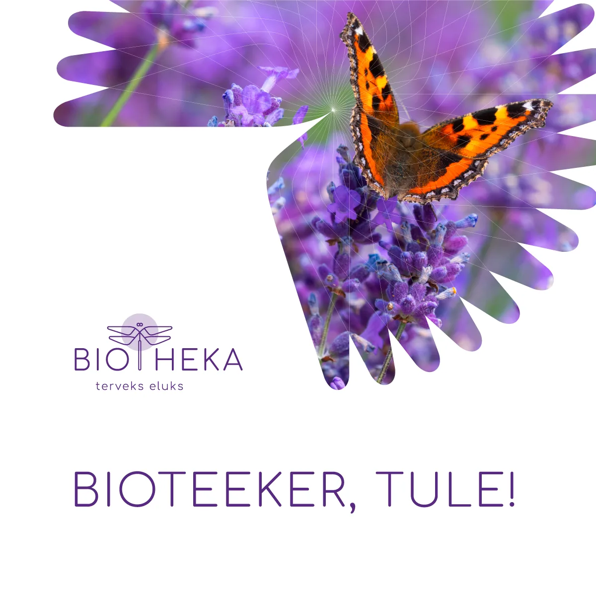 Read more about the article BIOTEEKER, TULE TÖÖLE BIOTHEKASSE!