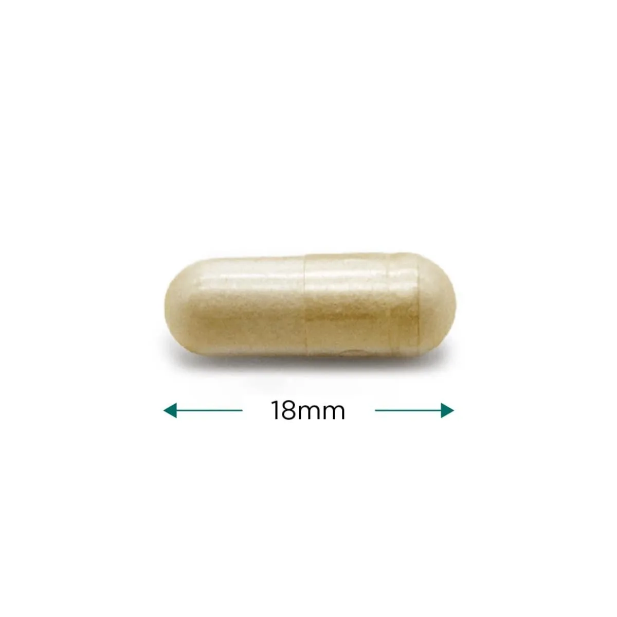 Cytoplan L-Taurine – 60 kapslit – kapsel