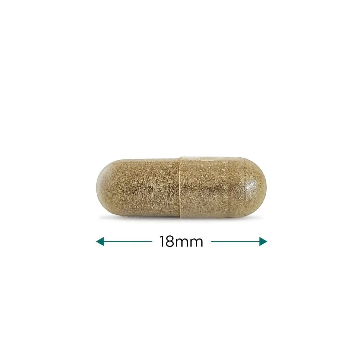 Cytoplan Gymnema Sylvestre – magusaisu vähendamiseks – kapsel