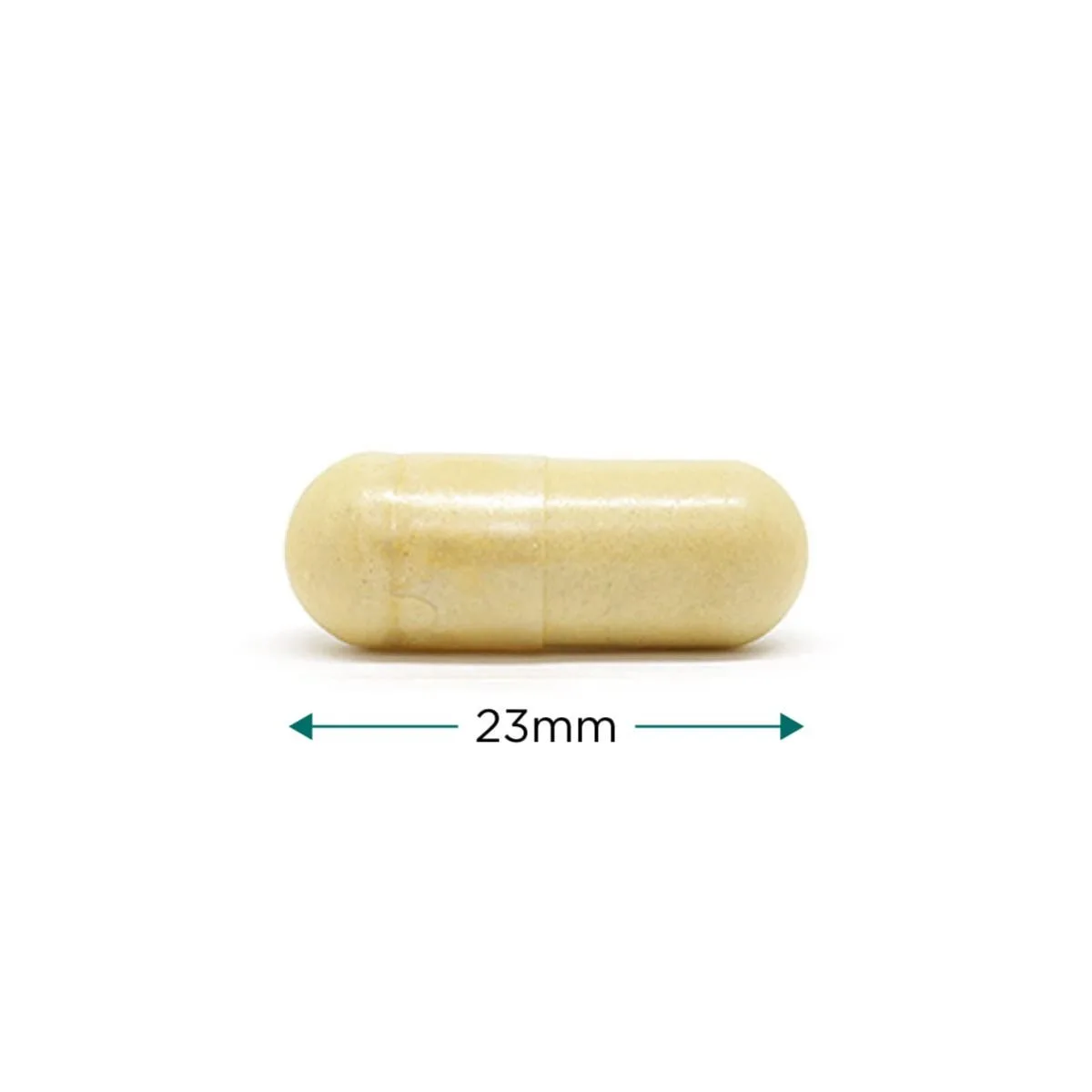 Cytoplan Vegan Collagen, 120 kapslit - kapsel