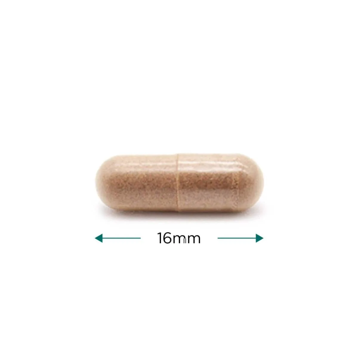 Cytoplan Rhodiola – 60 kapslit – kapsel