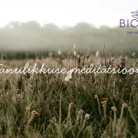 Tänulikkuse juhendatud meditatsioon