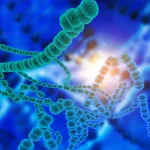 Microbiome Labs – rohkem kui tavaline probiootikum