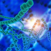 Microbiome Labs – rohkem kui tavaline probiootikum