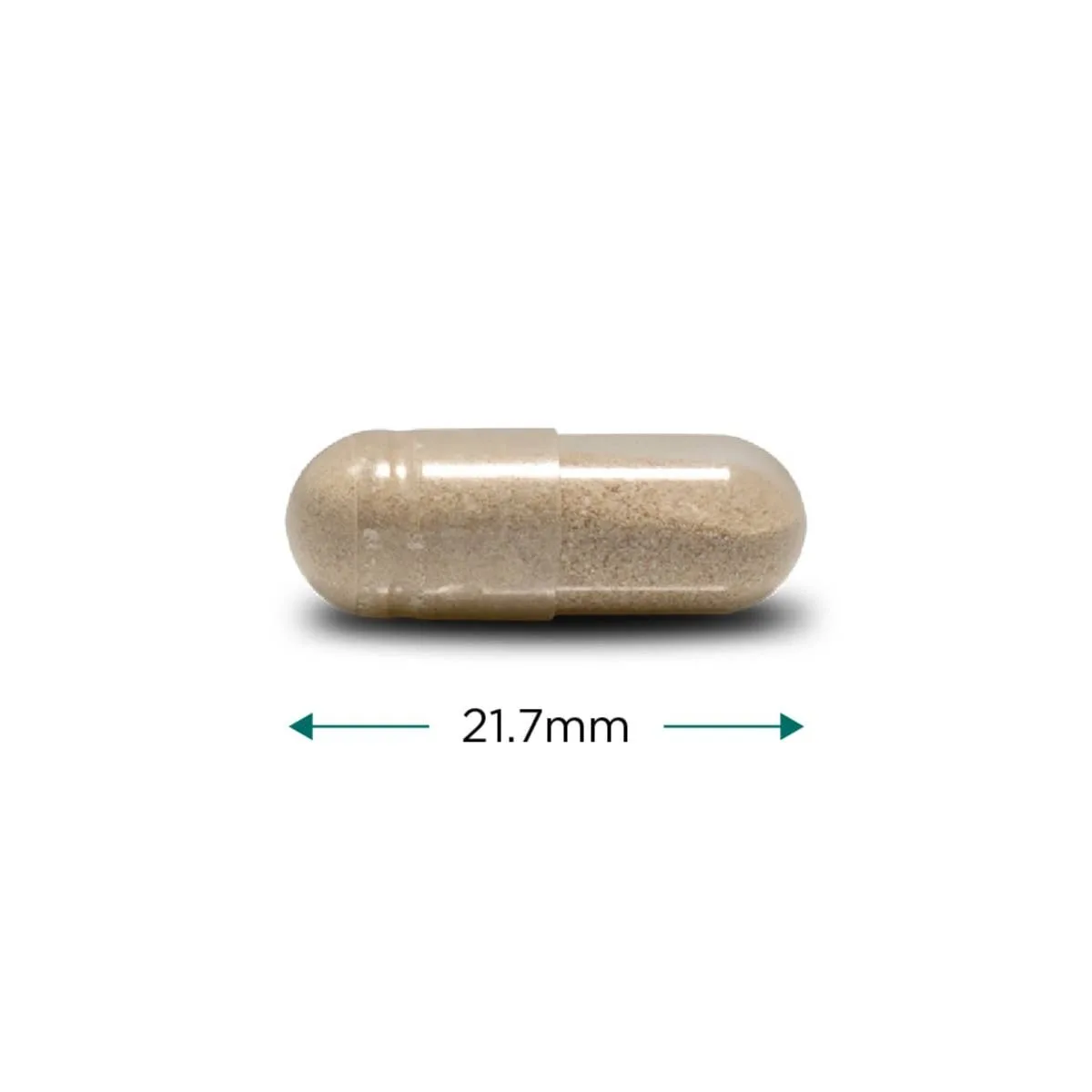Cytoplan Prostate Support - kapsel