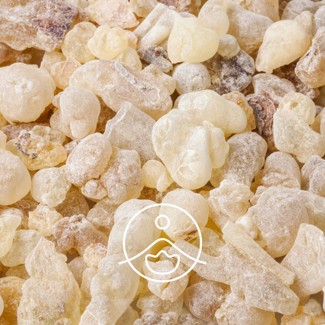 Florihana Organic Copaiba Essential Oil, 15 g - vaik