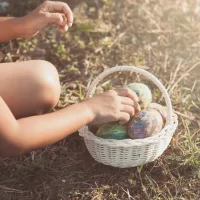 Biotheka avamisajad pühade ajal