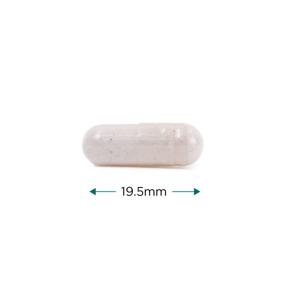 Cytoplan Vitamin B12 – kapsel